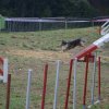 foire-haricots 2011-09-17et18